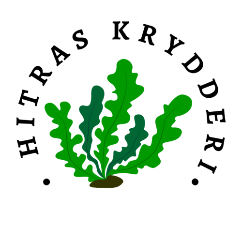 Krydder uten salt med tare fra Hitra